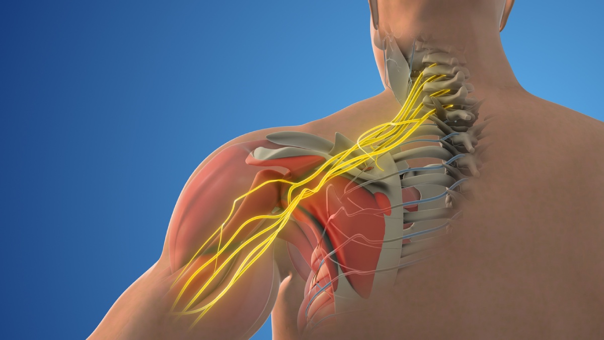 Anatomical Variation in Nerves